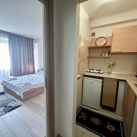 Apartment Downtown Calea Victoriei Ultracentral *