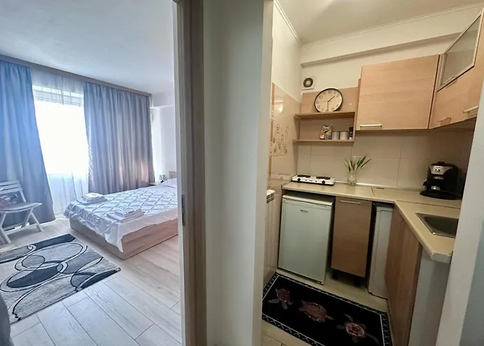 Apartman Downtown Calea Victoriei Ultracentral *